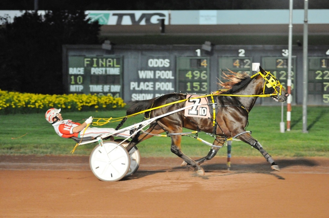 Tell Us More Is Top Harness Horse Of 2017 So Far