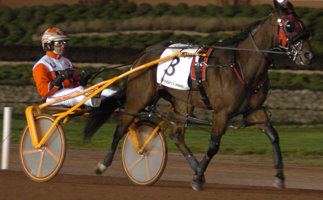 Harness racing driver Andy Miller